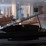 Salle à manger, bar et piano
