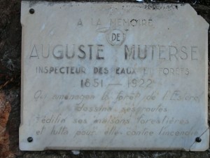 Plaque MUTERSE